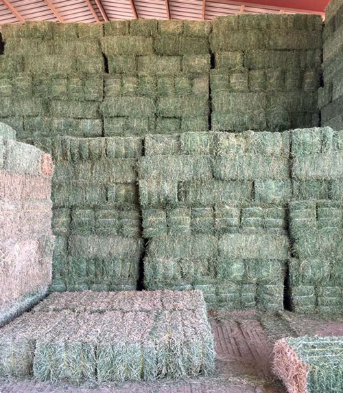 stacked bales of hay